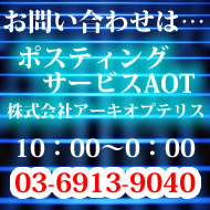 2.0�~����̃`���V�E�p���t���b�g�̃I�t�B�X�z�z�E�|�X�e�B���O�Ȃ�aot
