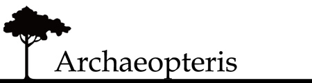 アーキオプテリス